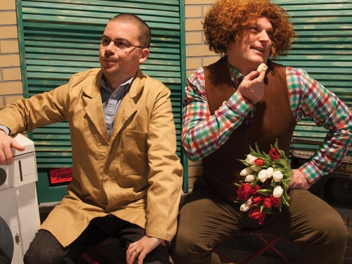 Wasmachine, theater door Stofkruidt